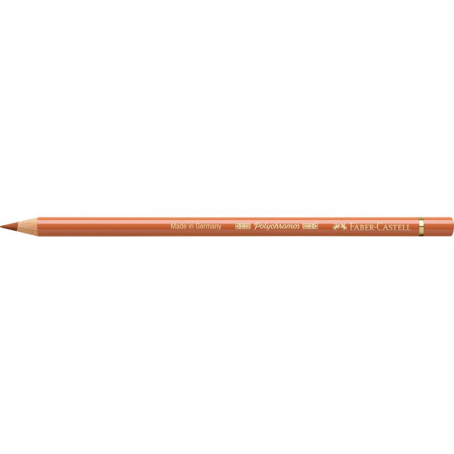 Faber-Castell - Polychromos colour pencil, burnt ochre