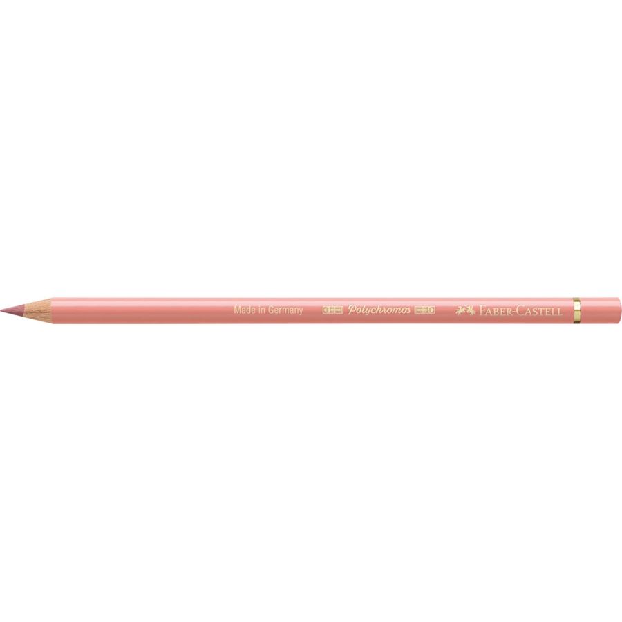Faber-Castell - Polychromos colour pencil, cinnamon